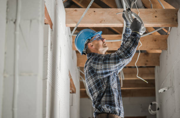 Best Licensed Electrician  in Ridgeville, SC
